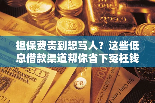 济南担保费贵到想骂人？这些低息借款渠道帮你省下冤枉钱