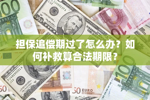 济南担保追偿期过了怎么办？如何补救算合法期限？